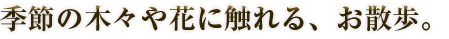 季節の木々や花に触れる、お散歩。