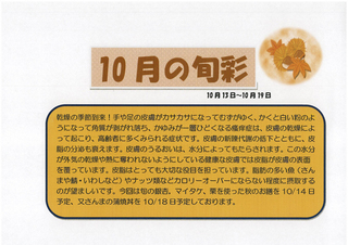 1013-1019の旬彩.jpg